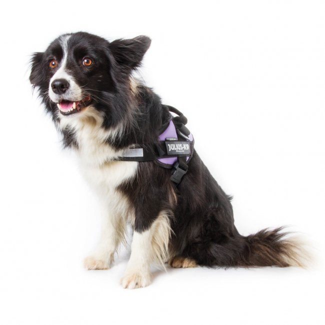 Julius-K9 IDC-Powertuig 82-115cm blauw