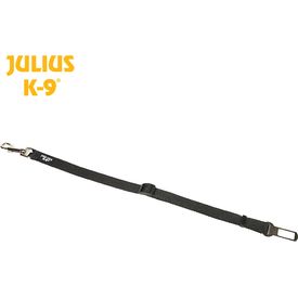 Auto Gordel Sluiting Maat 2 | Accessoires