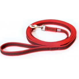 Lange lijn hond - 20mm x 3m - Met handvat - Rood | Hondenriemen