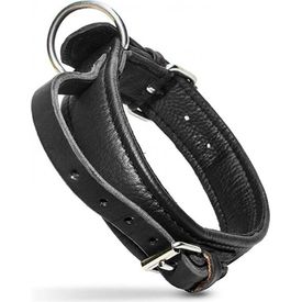 Eco Lederen halsband - Met handvat - 40mm x 50cm | Halsbanden