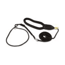 Showlijn Anti Slip Met Handvat - 3.5mm x 1.2m | Hondenriemen