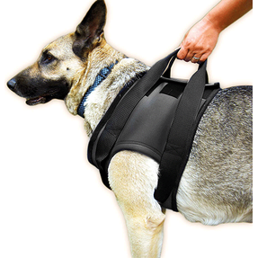 Julius K9 IDC Hondentuig Longwalk Blauw/Grijs