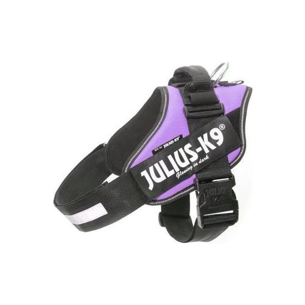 IDC Powertuig Paars - Maat 2 | IDC Powertuigen