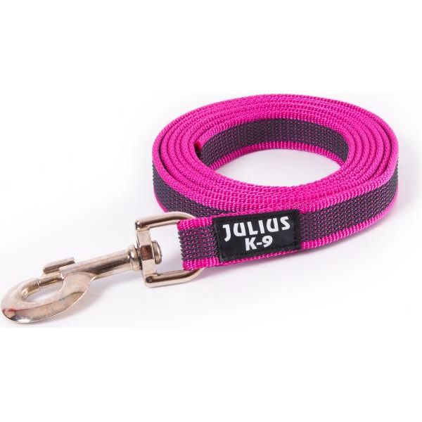 Hondenriem - 20mm x 2m - Roze | Hondenriemen