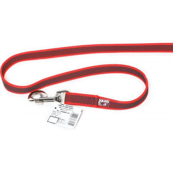 Hondenriem - 20mm x 1,8m - Met handvat - Rood | Hondenriemen