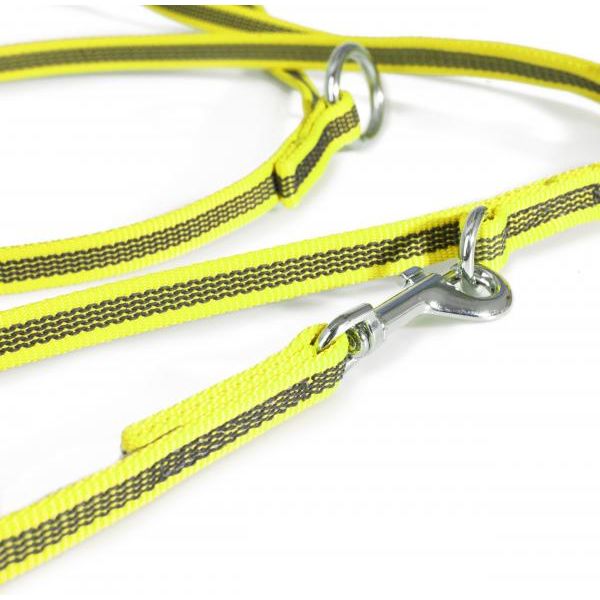 Hondenriem - Verstelbaar 14mm x 2,2m | Hondenriemen
