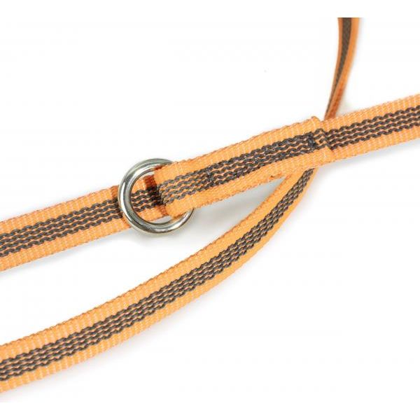 Hondenriem - Verstelbaar 14mm x 2,2m | Hondenriemen