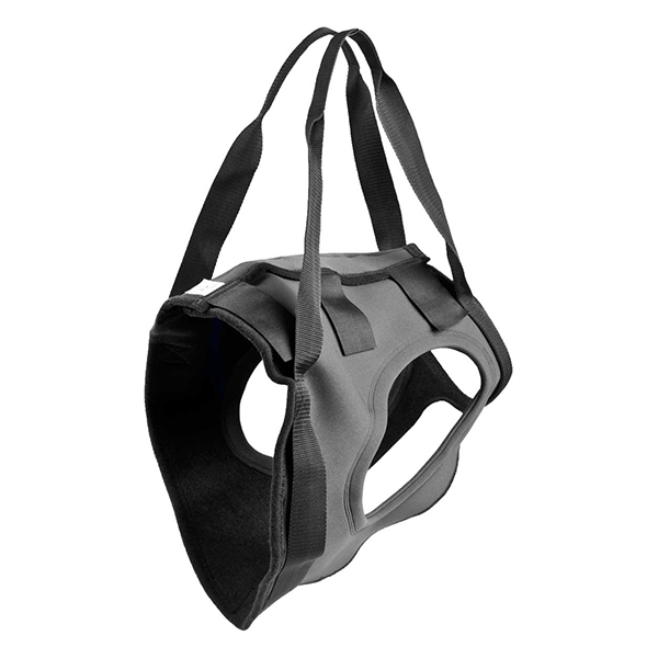 Revalidatie Tuig Hond - Achter - Maat XXL | Julius K9 - Speciale tuigen