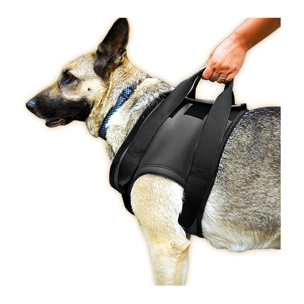 Revalidatie Tuig Hond - Voor - Maat S | Julius K9 - Speciale tuigen