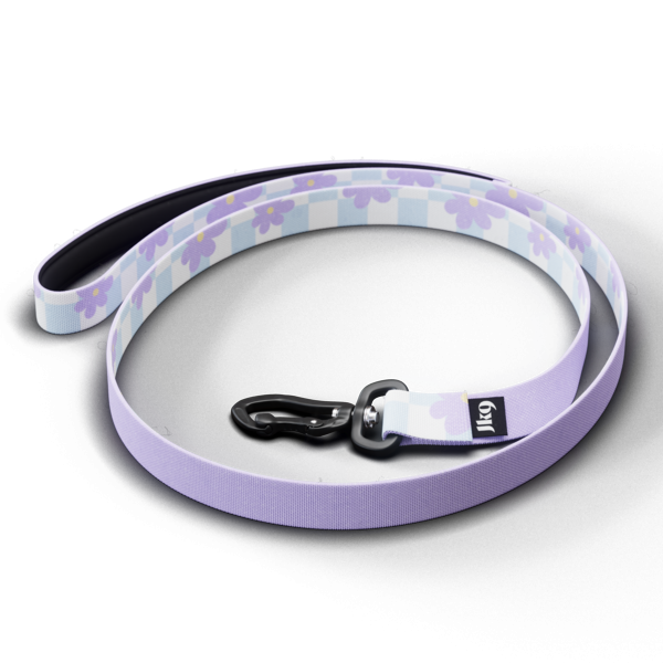 Julius-K9 hondenriem - 20mm x 1,2m - Met handvat - Cartoon